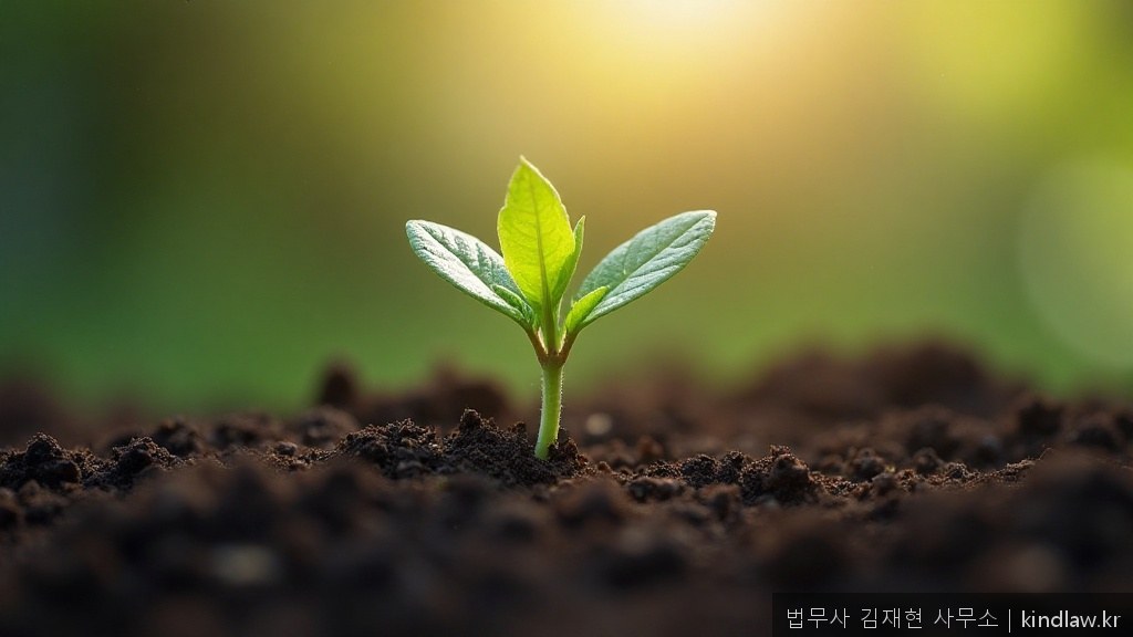 면책 후 신용회복