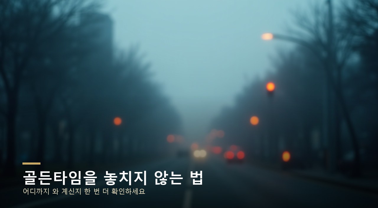 골든타임을 놓치지 않는 법