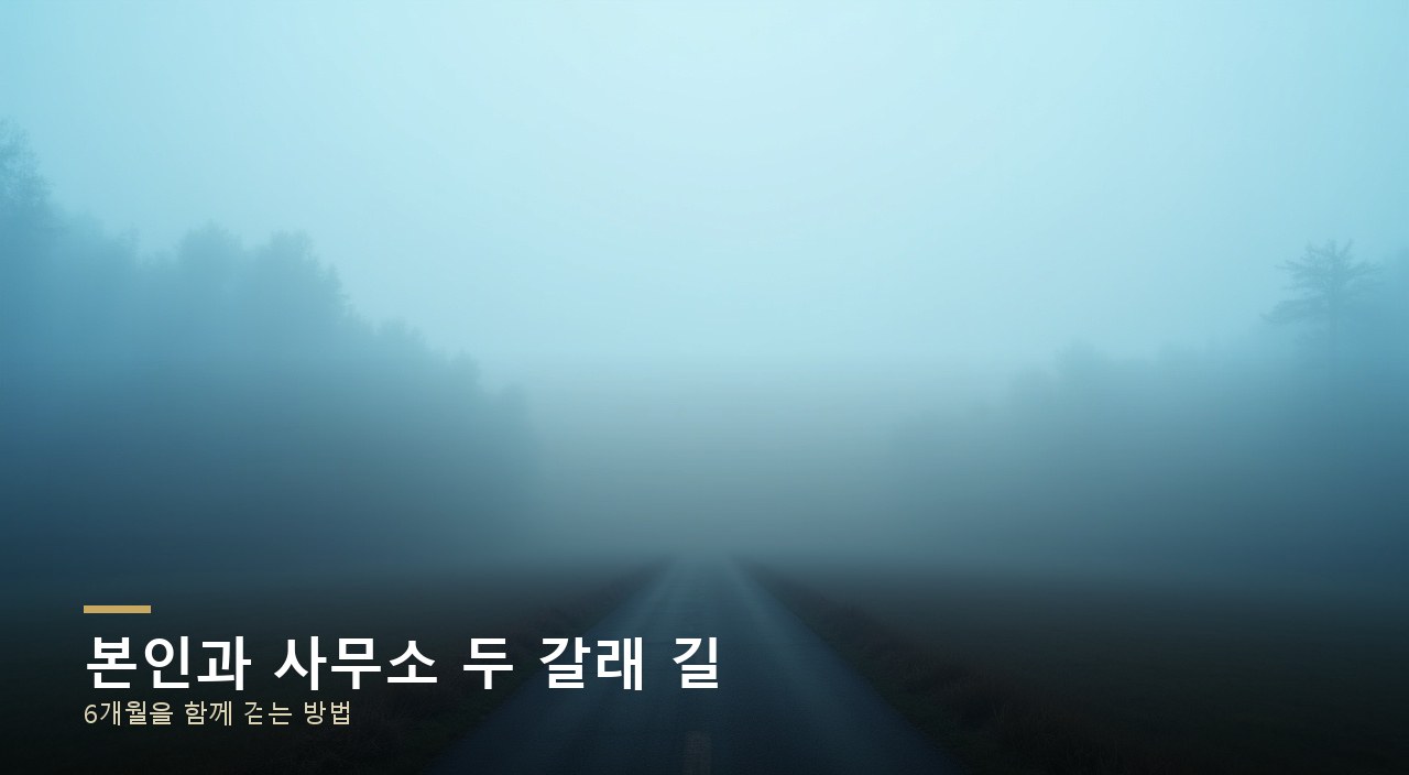 법률상식
