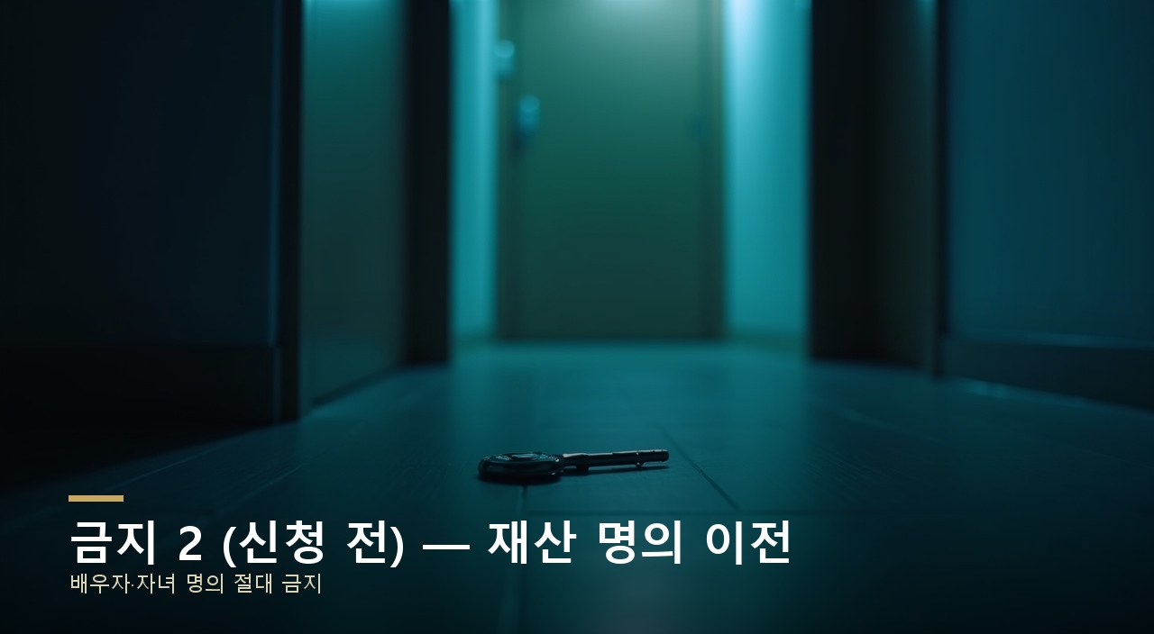 금지 2 (신청 전) — 재산 명의 이전